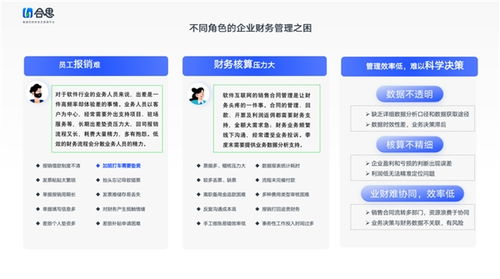 软件互联网公司运营成本高 合思财务数字化专属解决方案来了