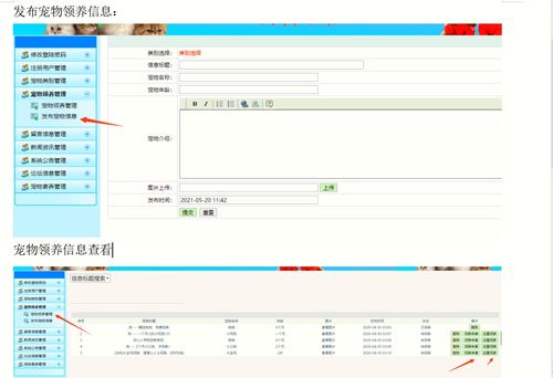 精品毕设 java javaweb宠物领养平台管理系统完整源码