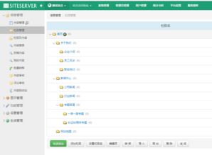 深入讲解siteserver cms 演示建站全过程 一